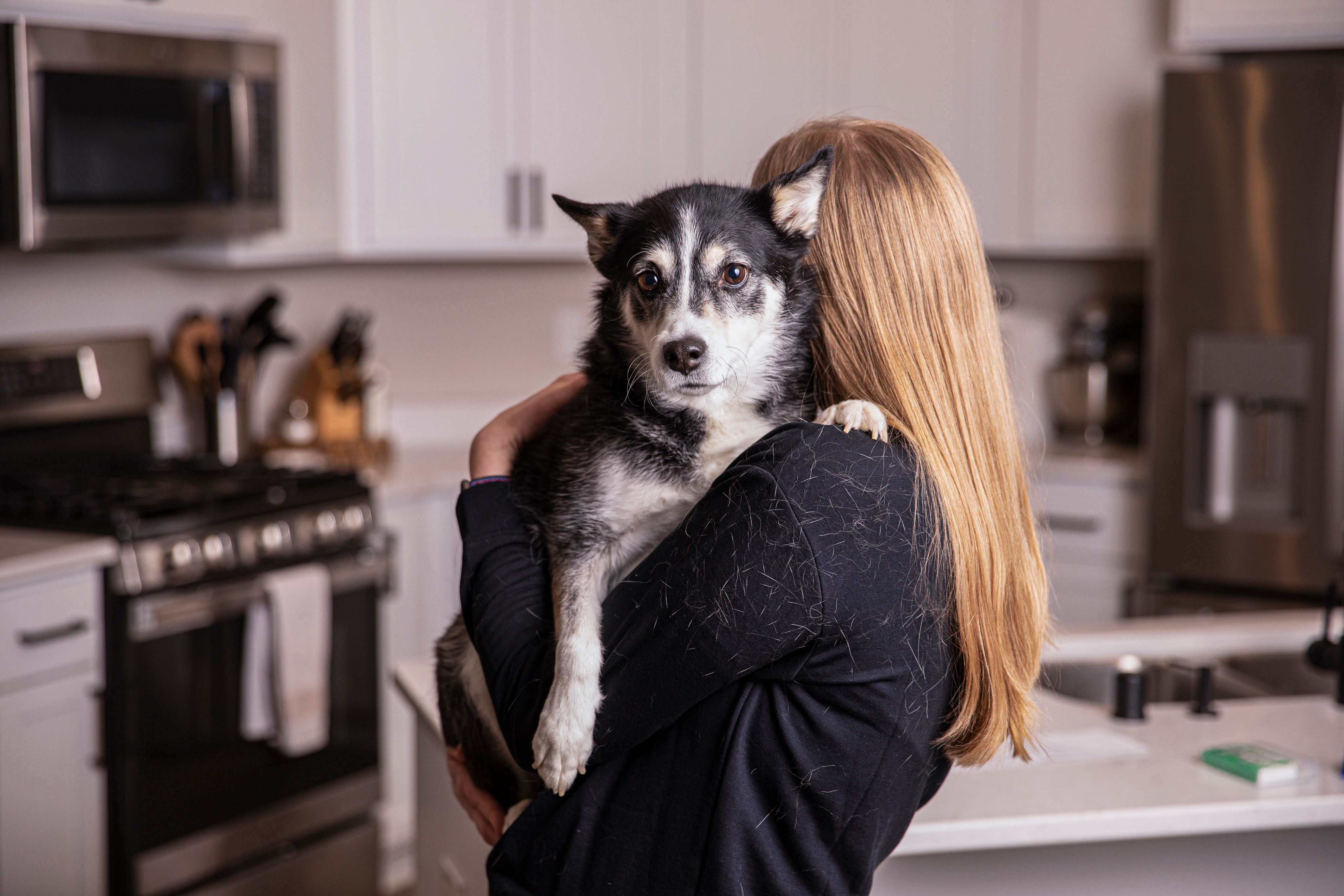 Nominate a foster fur hero to receive a laundry pair